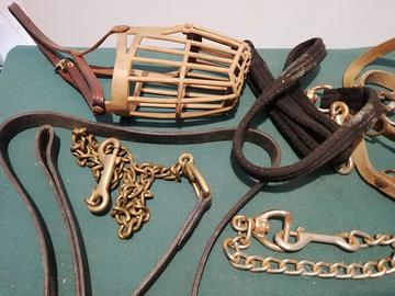 Museruola per cane - guinzaglio -  collare