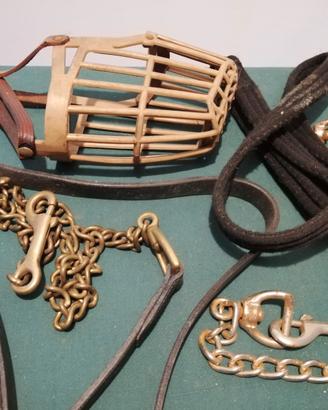 Museruola per cane - guinzaglio -  collare