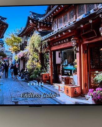 Televisore LG OLED C5 55” (2025)