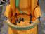 Immagine 5