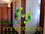 Immagine 22