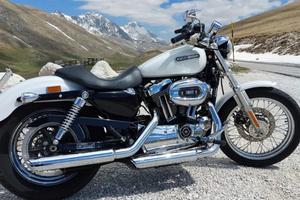 Harley Davinson 1200 low