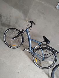 Bici Ibrida e Mountain bike