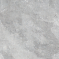 Pavimenti e rivestimenti in gres porcellanato