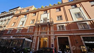 Appartamento di 335 m² con più di 5 locali a Roma