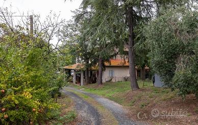 Podere, magazzino, olivi e 18 ettari terreno