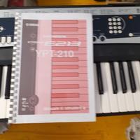 Yamaha YPT 210