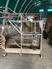 Travaglio per bovini