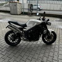 Leggere bene Speed Triple 1050