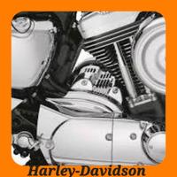 COVER MOTORINO AVVIAMENTO H-D SPORTSTER XL