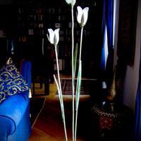 lampada