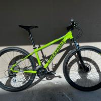 Bici Cannondale Trail 6, 2017