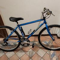 bici mtb
