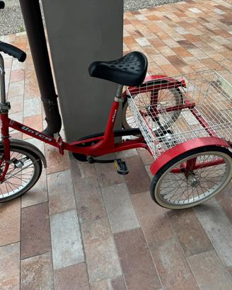 Bicicletta unica 3 ruote treciclo