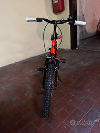 Bici bambino 20’