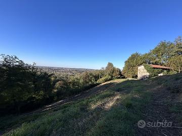 Terreno con vista panoramica immerso nei boschi