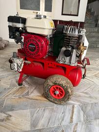 Motocompressore per raccolta olive
