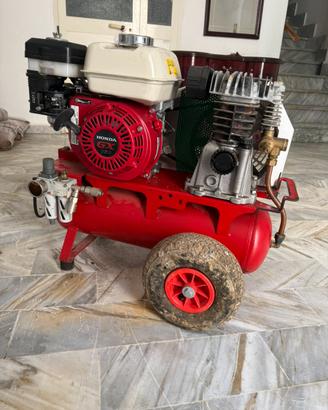 Motocompressore per raccolta olive