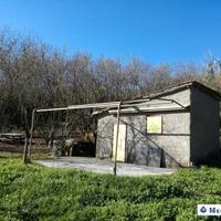 Terreno e noccioleto