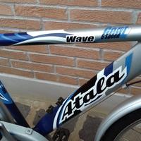 Bicicletta uomo da passeggio
