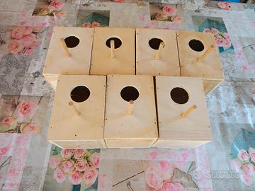 Nido casetta per pappagalli uccelli