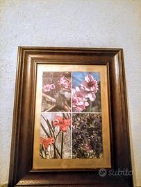 quadro co cartoline da collezione 