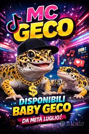 Geco leopardino