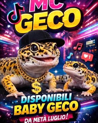 Geco leopardino