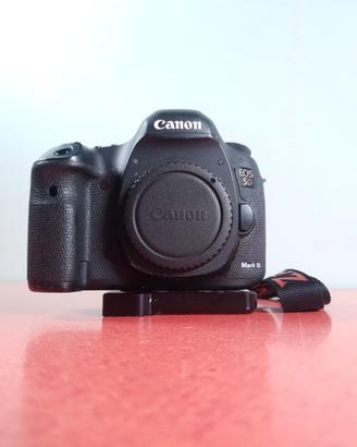 Canon EOS 5D Mk III e Zacuto Vf – Buone condizioni