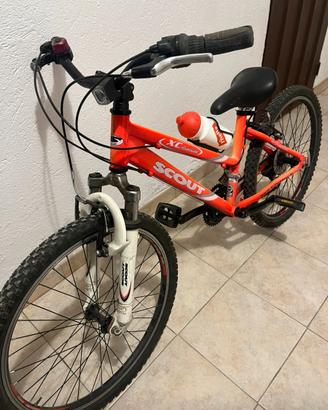 Bici  bambina  e  donna