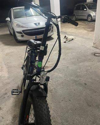 Bici elettrica