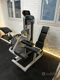 Leg curl teca