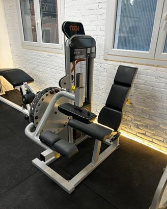 Leg curl teca