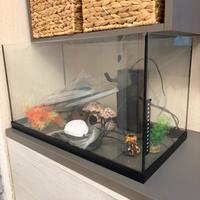 Acquario 60litri