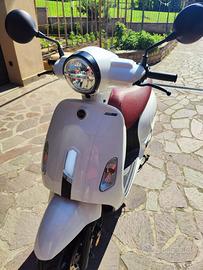 Sym fiddle 125 euro 5 - 2023