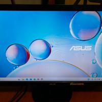 Monitor asus