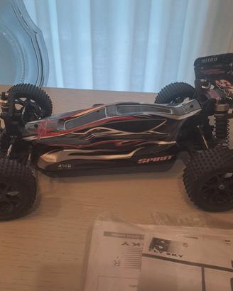 buggy rc