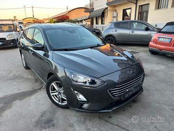 Ford Focus 1.5 EcoBlue 120 CV automatico SW Busine