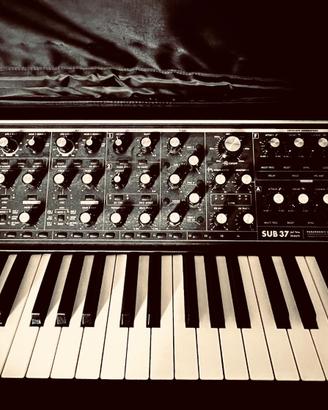 Moog Sub 37 Tribute Edition + case moog