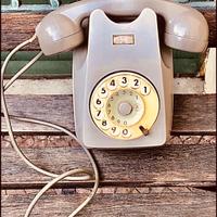 Telefono a disco face sip vintage