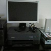 monitor 17" lcd