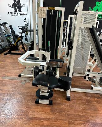 Rotary dorso tecnogym