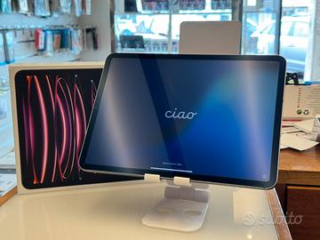 iPad Pro 11” M2 512Gb