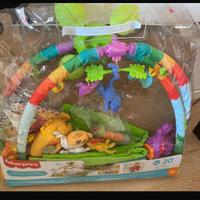 Palestrina fisher price tucano