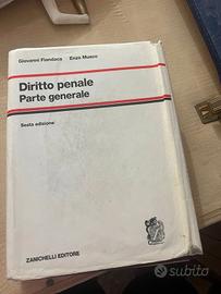Diritto penale