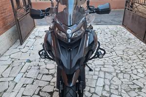 Benelli Trk 502X Luglio 2024