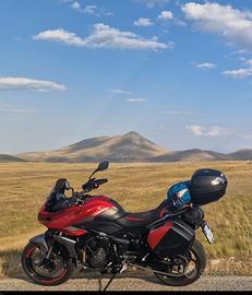 Triumph tiger 660