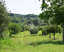 TER. AGRICOLO A SANT'AGATA DE' GOTI