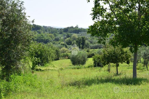 TER. AGRICOLO A SANT'AGATA DE' GOTI