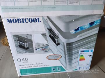 Frigo portatile 220v 12v